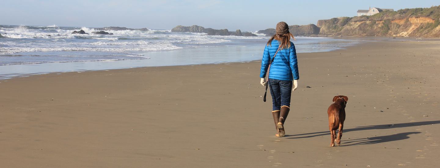 Protect Clatsop County Public Beaches and Dunes