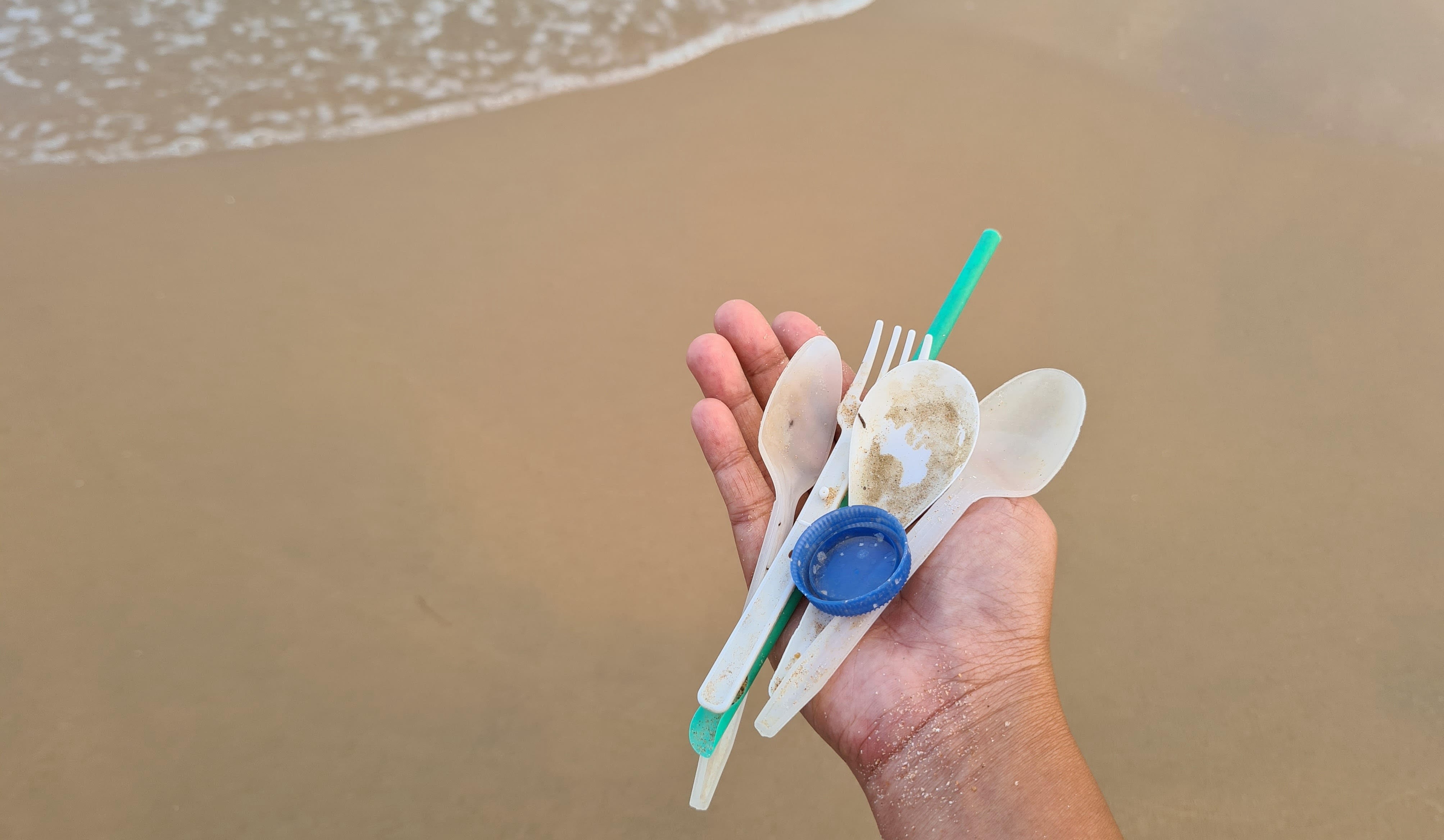 Reduce Plastic Pollution in Delaware