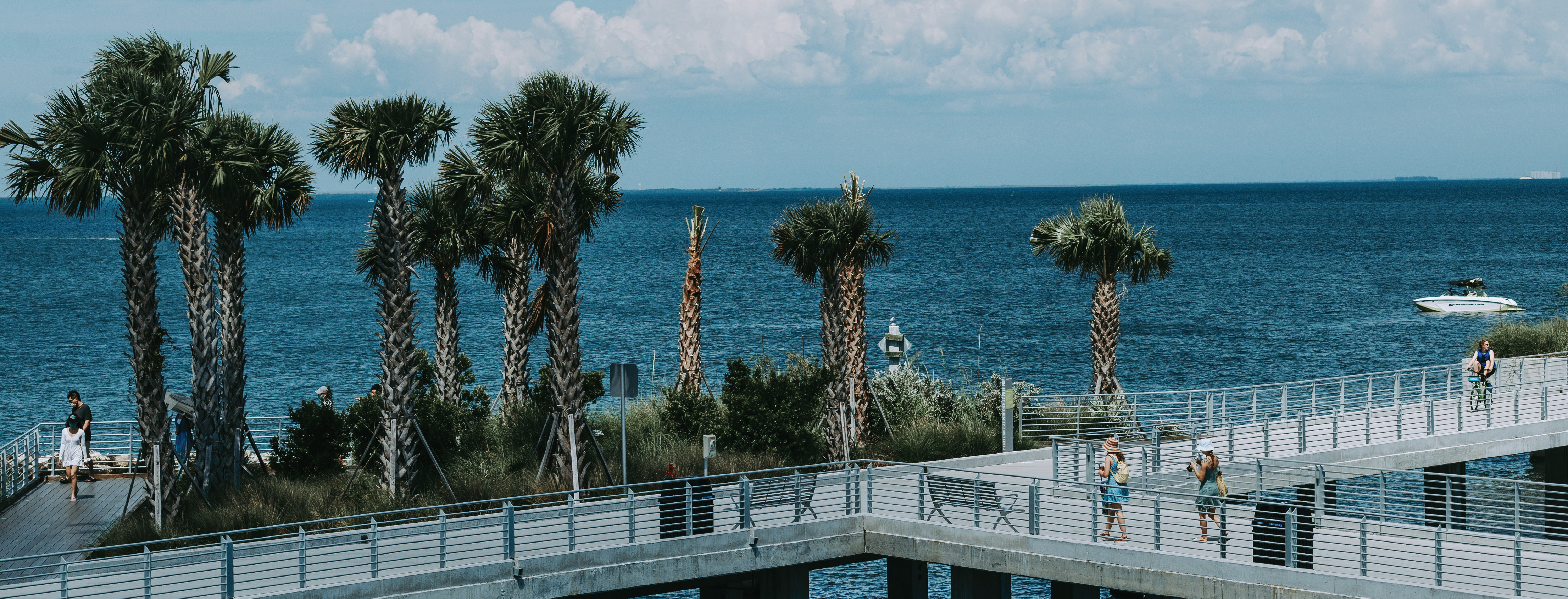 Protect Plastic Ordinance St. Pete