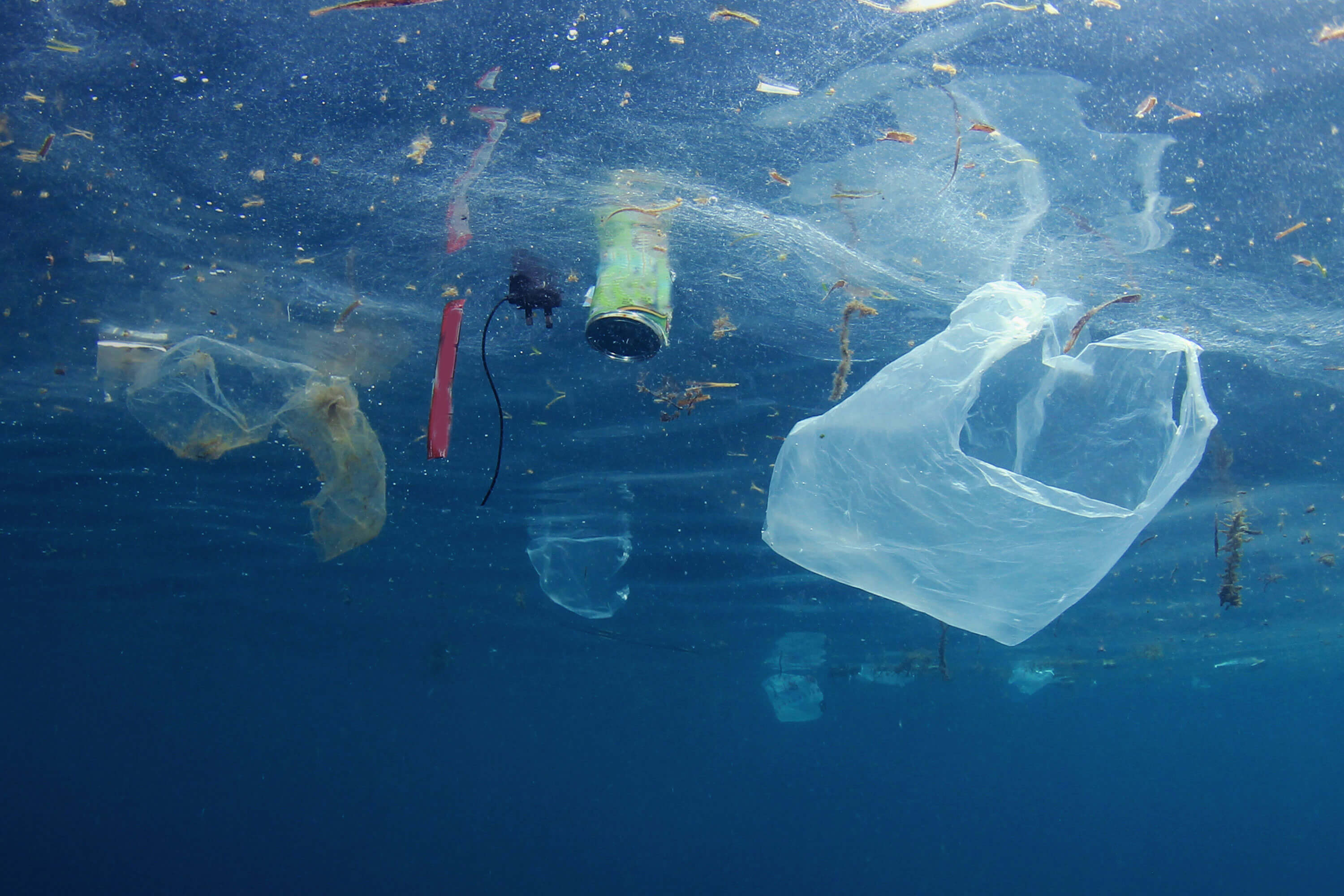 Stop the Expansion of Plastic Preemption in Florida