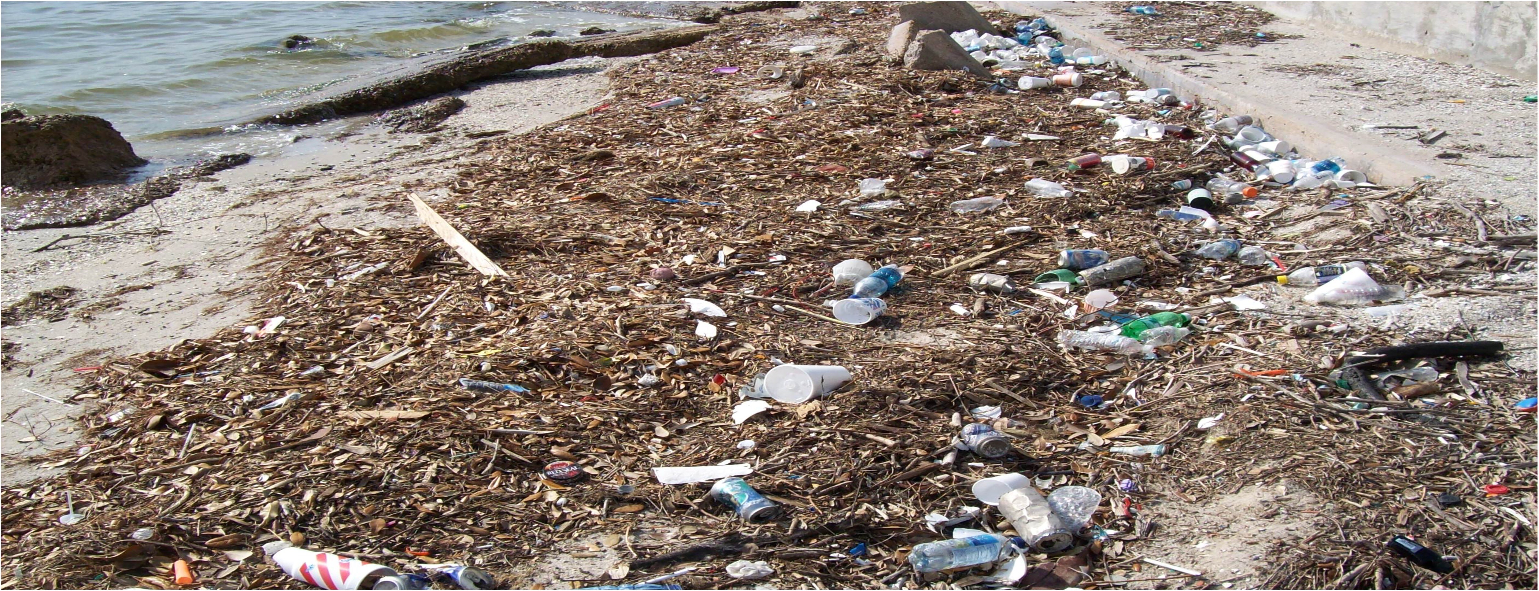 Support a Statewide Recycling Program for Beverage Bottles and Cans (TX)