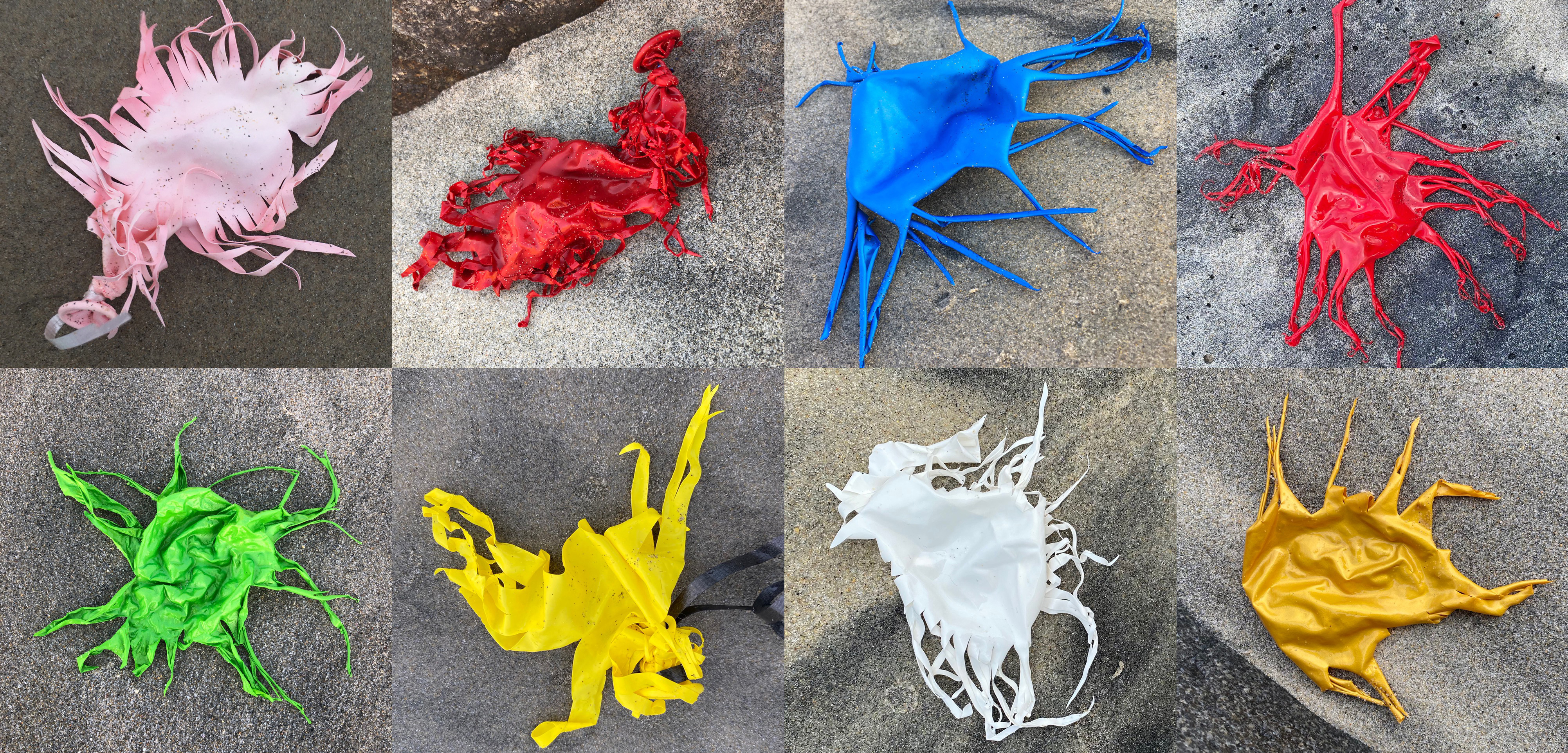 Stop Intentional Balloon Releases in North Carolina